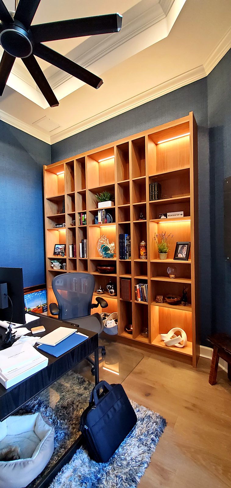 Lit bookcase