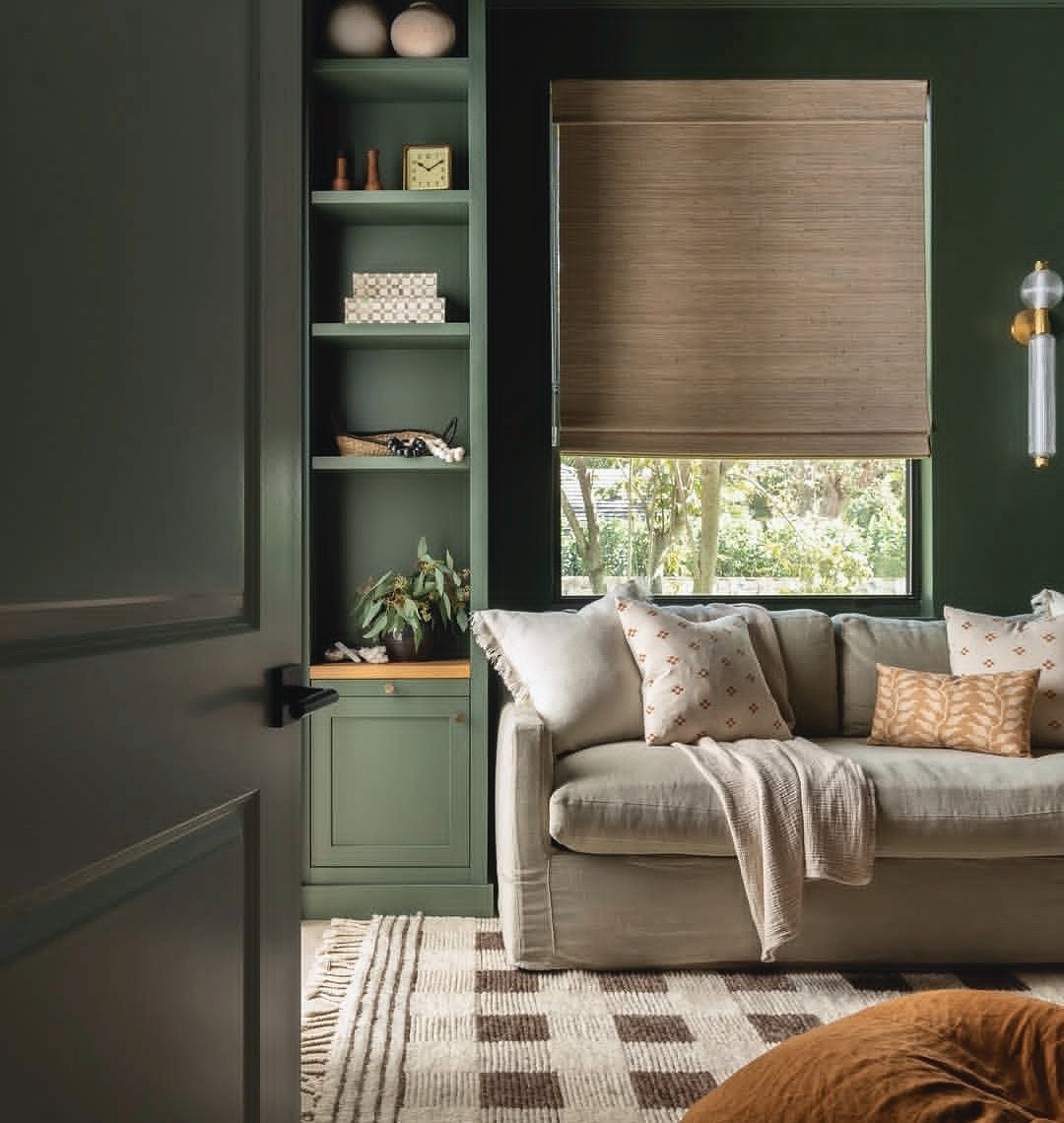 Green study shelves